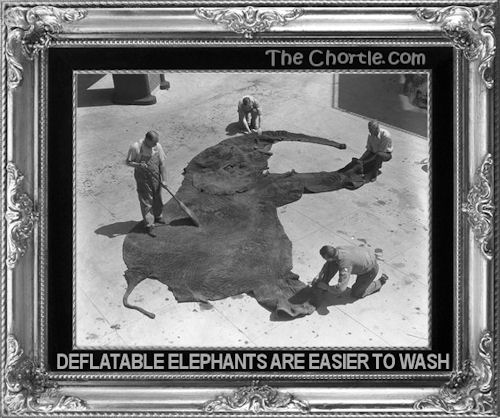 Deflatable elephants are easier to wash.